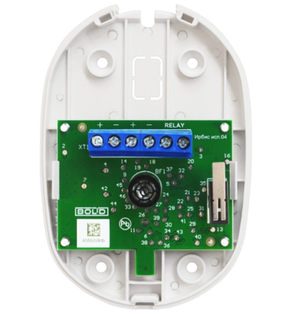 Ирбис исп.04