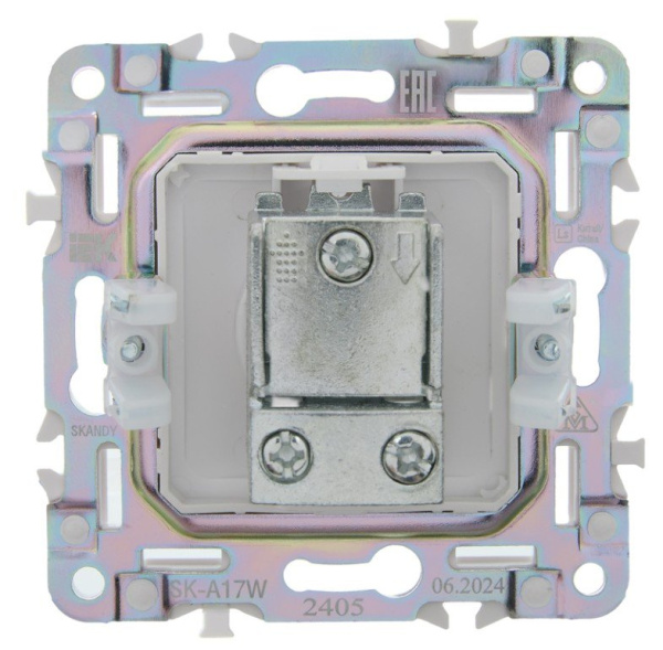 SKANDY Розетка TV проходная SK-A17W скрытой установки арктический белый (SK-A10-P-K01)